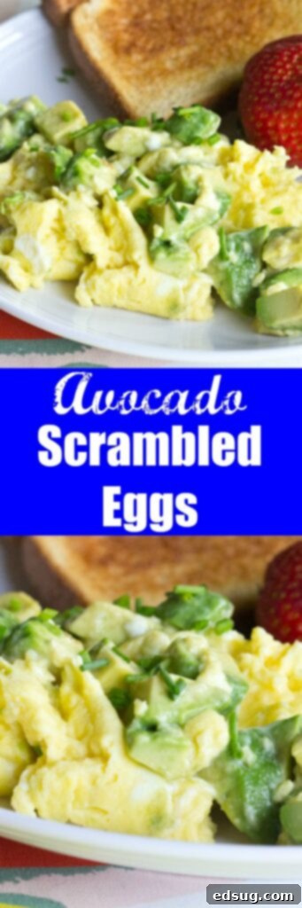 Creamy Avocado Scramble 1 Avocado Scrambled Eggs - A healthy breakfast to start your day off right. Buttery avocado mixed with creamy scrambled eggs makes for a great breakfast.