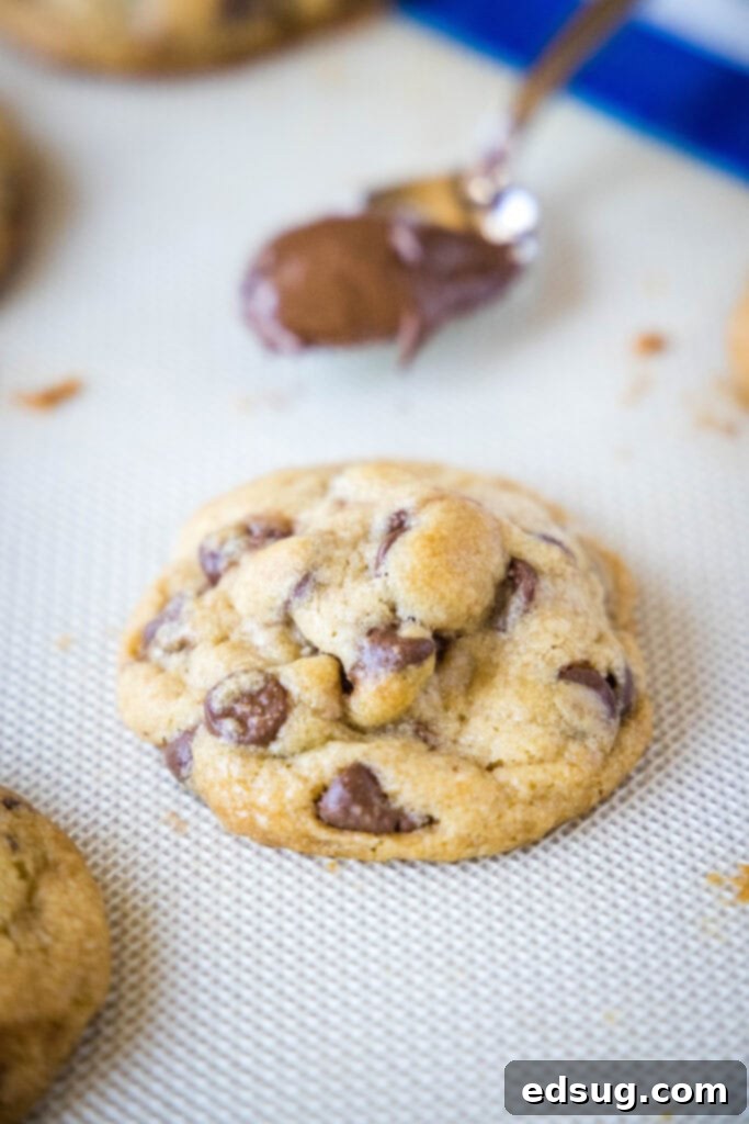 Freshly baked chocolate chip cookie with a spoonful of Nutella