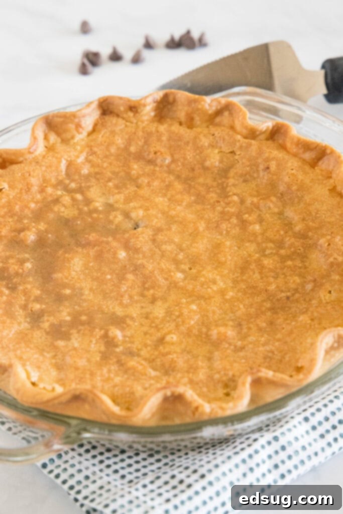 Irresistible Chocolate Chip Cookie Pie 4 baked cookie pie