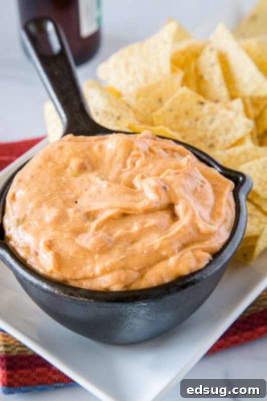 Effortless Refried Bean Dip 3 Ingredients for creamy refried bean dip: refried beans, cream cheese, cheddar cheese, and taco spices.