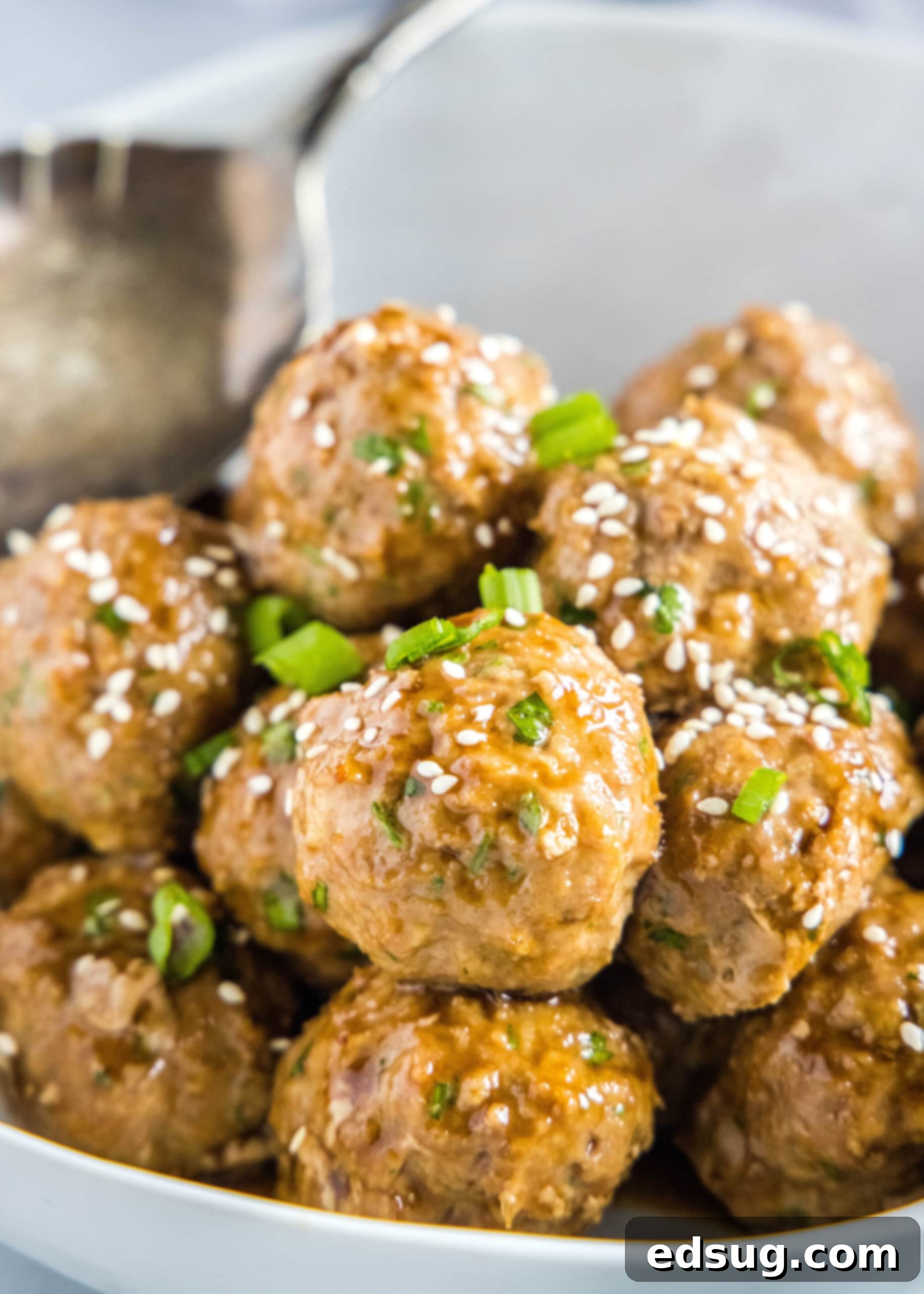 Asian Turkey Meatballs bowl of turkey meatballs with asian glaze