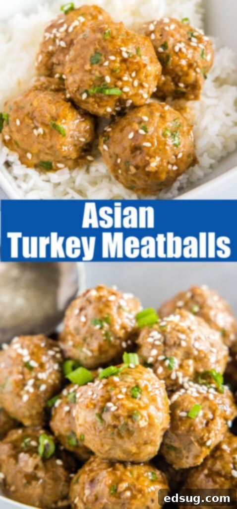 Baked Asian Turkey Meatballs close up asian turkey meatballs