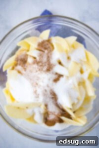 Apple Crumble Bars 8 img 3031 7