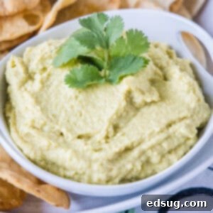 Close up shot of creamy avocado hummus in a bowl.