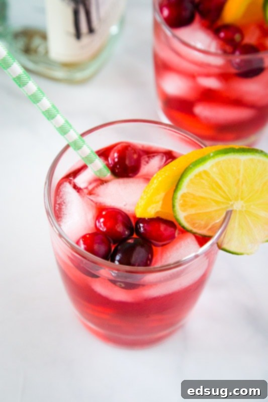 Crimson Gin Delight 3 Close-up of a Cranberry Gin drink with fresh cranberries, highlighting the beautiful red hue and inviting presentation
