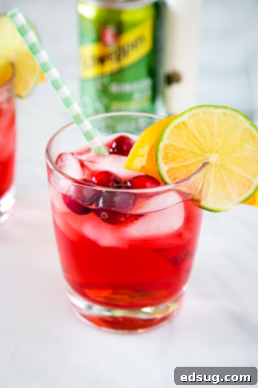 Crimson Gin Delight 4 A top-down view of a beautifully garnished Cranberry Gin Cocktail, emphasizing the vibrant colors and fresh fruit