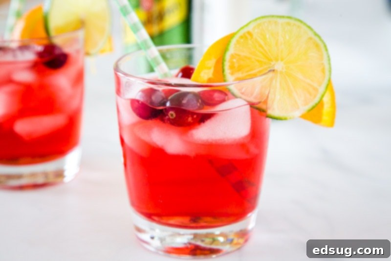 Crimson Gin Delight 5 A refreshing Cranberry Gin Cocktail in a tall glass, ready to be enjoyed, showcasing the ease of preparation