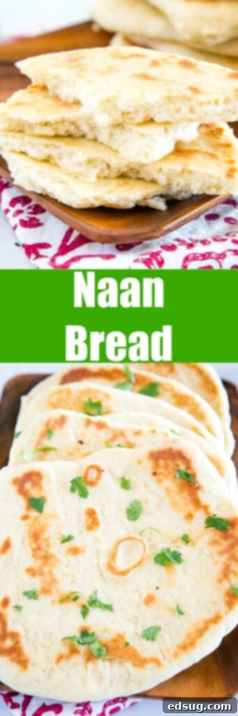 Pillowy Soft Naan 5 Naan Bread - This homemade naan bread is a soft and chewy Indian style flatbread.  A simple and easy dough that makes for the most delicious bread!  It is great to brush with butter and garlic for an easy garlic naan recipe.