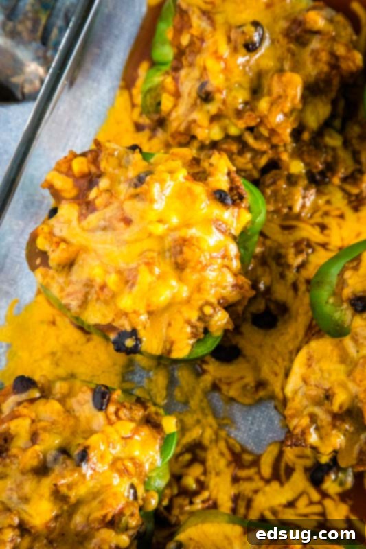 Mexican stuffed peppers with taco meat, black beans, corn, salsa, cheese, and enchilada sauce, ready to bake.