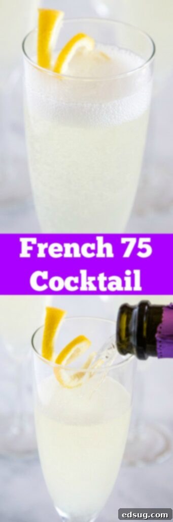 French 75 Cocktail Recipe - this classic cocktail is perfectly refreshing, citrus-y and sparkling! A fun gin cocktail that is perfect for toasting that special occasion or just sipping at your next night out! 