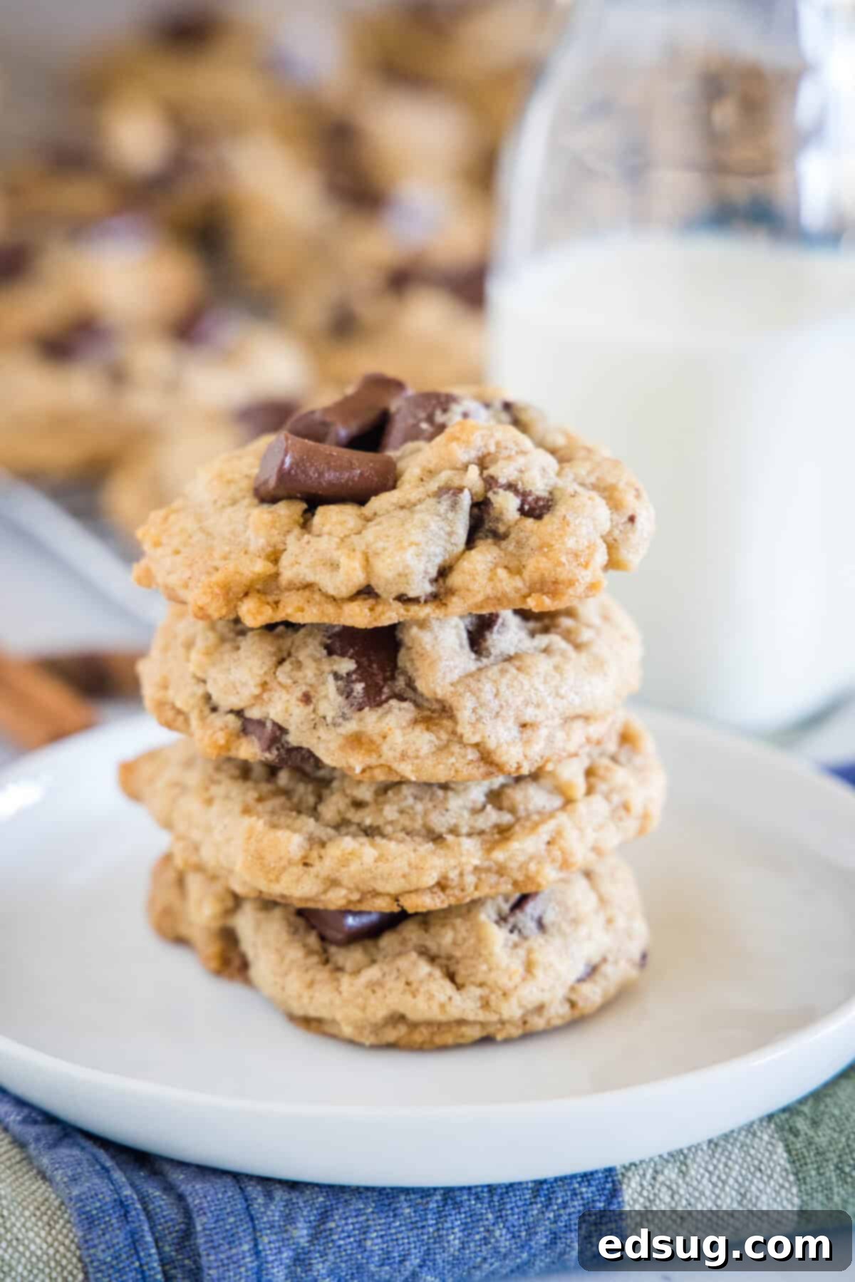 Spiced Mexican Chocolate Chip Cookies 2 Stacked Mexican Chocolate Chip Cookies on a plate, showcasing their soft texture and chocolate chunks.