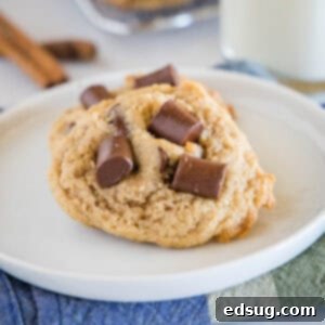 Close up cropped image of Mexican chocolate chip cookies, showing their melted chocolate.