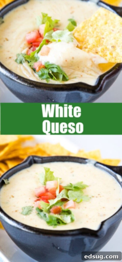 A bowl of creamy white queso dip served with a generous amount of tortilla chips.