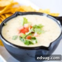 Mexican White Queso Dip - Similar to the white cheese sauce served at Mexican restaurants. It is creamy, has just a little spice to it and is the perfect addition to any party!  