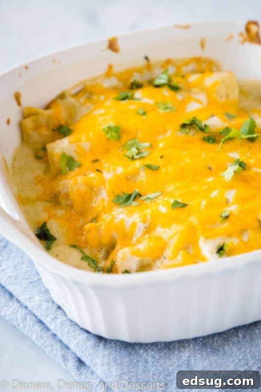Chicken Enchiladas with a white sauce that is great for an easy dinner, showcasing the creamy texture.