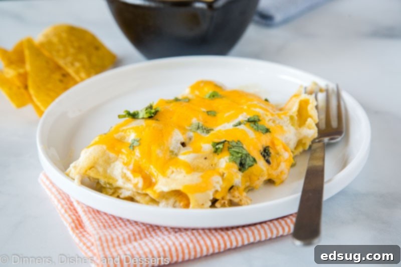 White Chicken Enchiladas - super easy sour cream chicken enchiladas that are made with lots of creamy and tangy sour cream for a delicious white sauce. They are cheesy, full of flavor and great for dinner anytime!