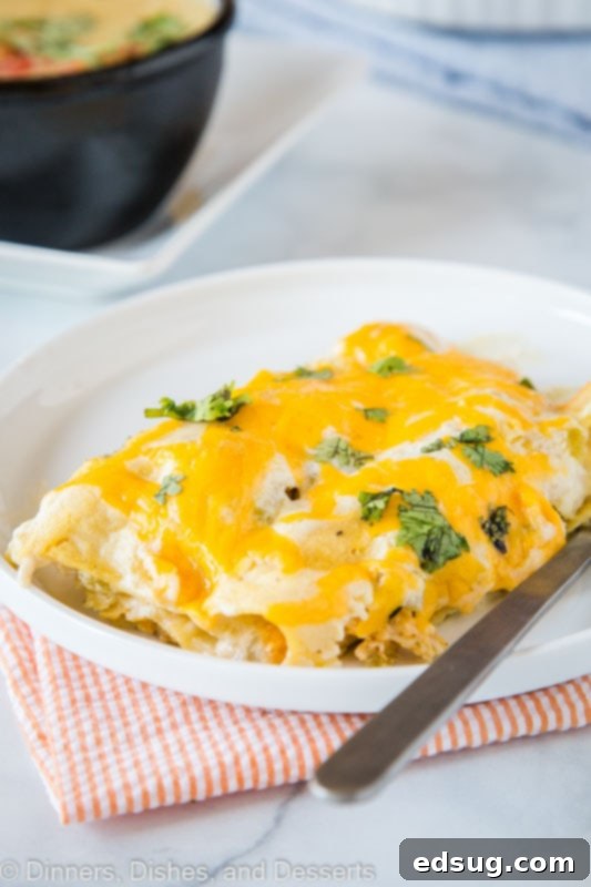 Enchiladas with a white sauce are the perfect dinner. You can make them ahead, you can freeze them, and the leftovers are delicious!