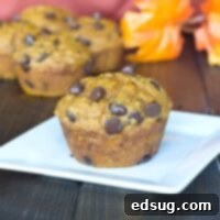 Chocolate Chip Pumpkin Muffins 3 Pumpkin Chocolate Chip Muffins - Healthy version of homemade pumpkin muffins with lots of chocolate chips. Perfect to have in the freezer for a busy morning or an after school snack.