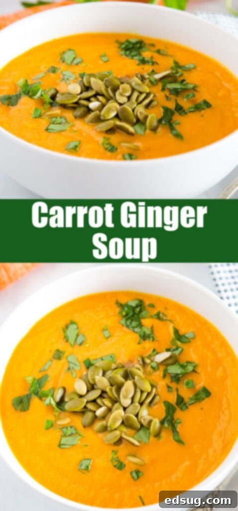 close up bowl of carrot soup topped with pumpkin seeds