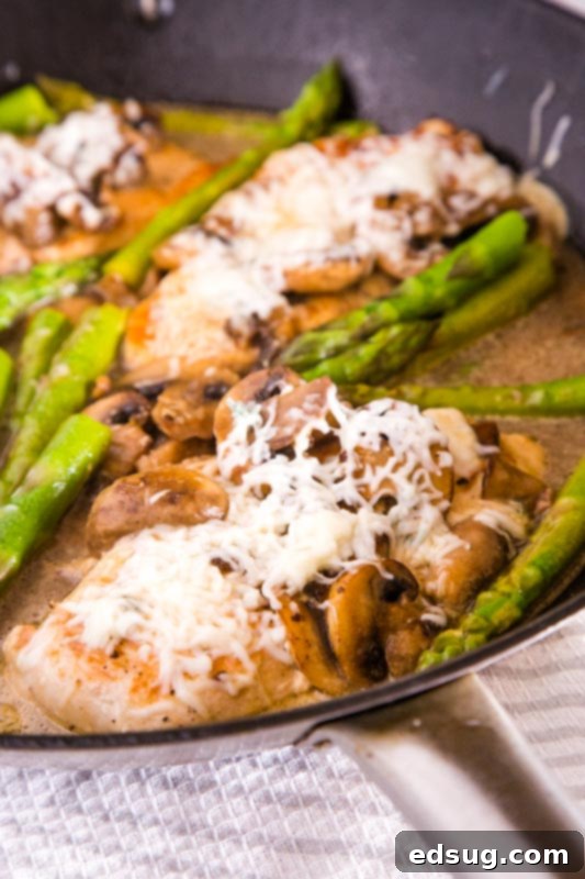 Cheesecake Factory Copycat Chicken Madeira recipe