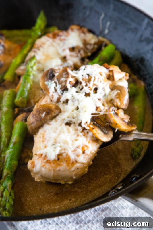 easy chicken winner make with madeira wine