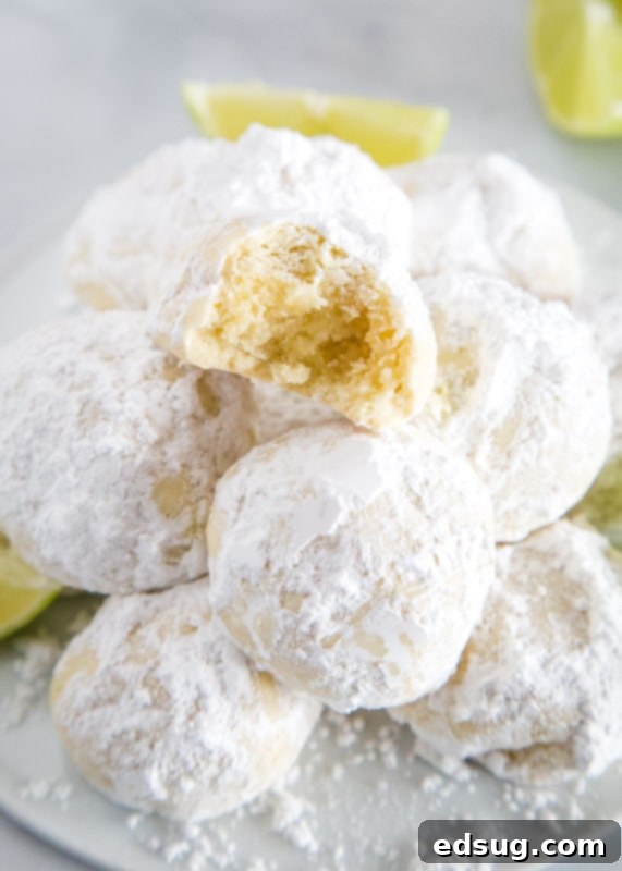 Zesty Lime Cooler Cookies 2 Sweet, buttery, melt-in-your-mouth Lime Cooler Cookies generously coated in powdered sugar, perfect for any season.