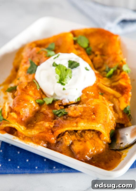 Easy homemade beef enchiladas, packed with flavor and perfect for a quick dinner.