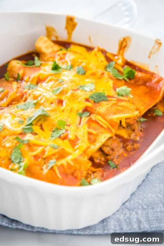 Close-up of golden brown, cheesy ground beef enchiladas, a truly satisfying comfort food.