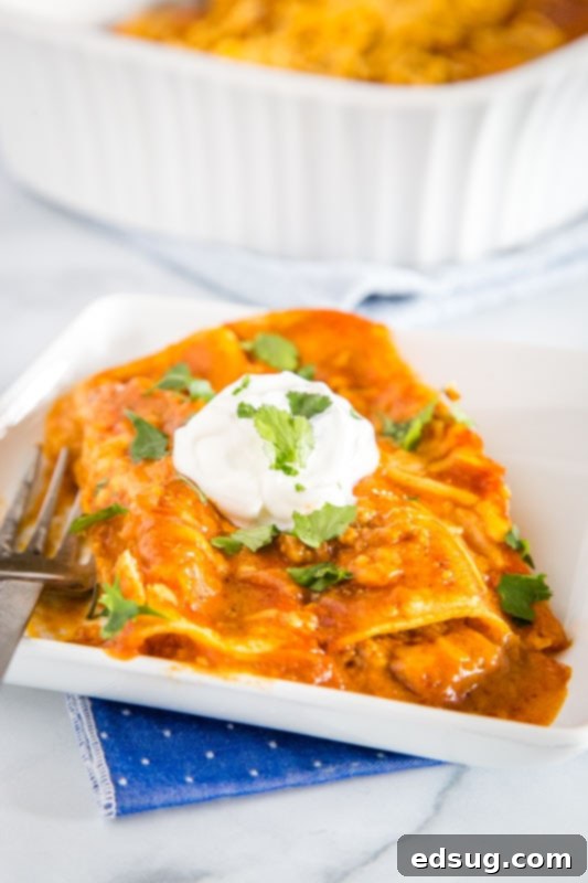 Freshly baked beef enchiladas with melted cheese, ready to be served for a family dinner.