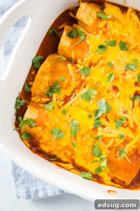 Close-up of baked enchiladas, golden brown with melted cheese and rich sauce, perfect for a cozy meal.