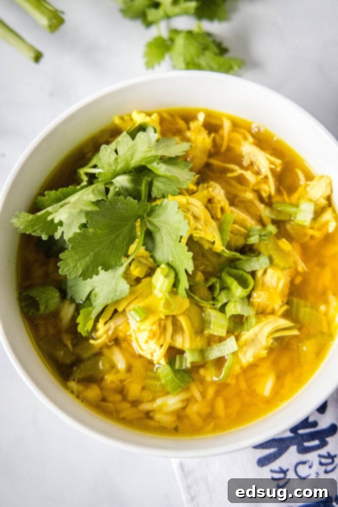 Overhead view of a beautiful bowl of ginger chicken and rice soup, generously garnished with fresh cilantro and green onions.