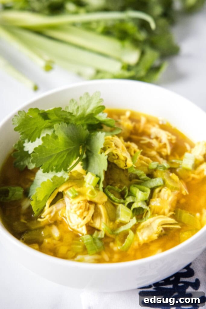 A pristine white bowl filled with Ginger Chicken Soup, garnished beautifully with fresh cilantro and vibrant green onions.