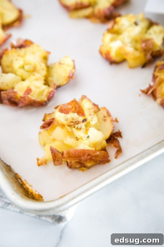 Smashed Potato Perfection 7 Crispy Smashed Potatoes Recipe - These smashed potatoes are baked until they are crispy and delicious! Topped with a plenty of garlic to make them the perfect side dish for any night of the week.