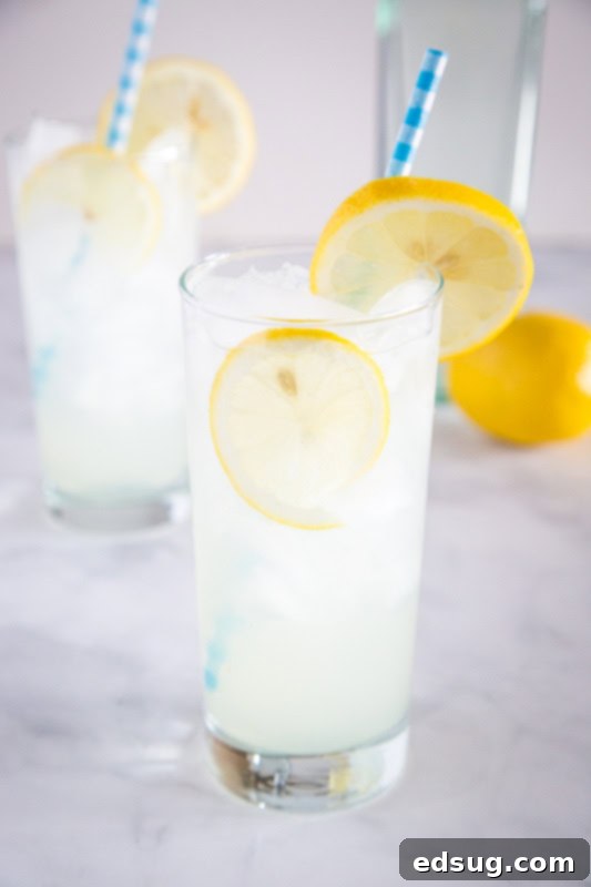 A beautifully presented Tom Collins cocktail in a tall glass, garnished with a fresh lemon wheel, perfect for a refreshing drink at any time.