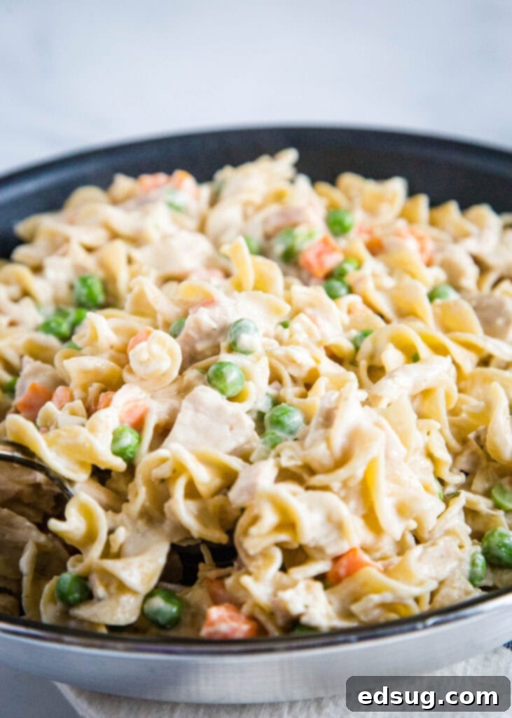 Creamy Chicken Noodle Pot Pie 4 Chicken pot pie pasta is a quick and easy dinner you can make in about 20 minutes any night of the week!