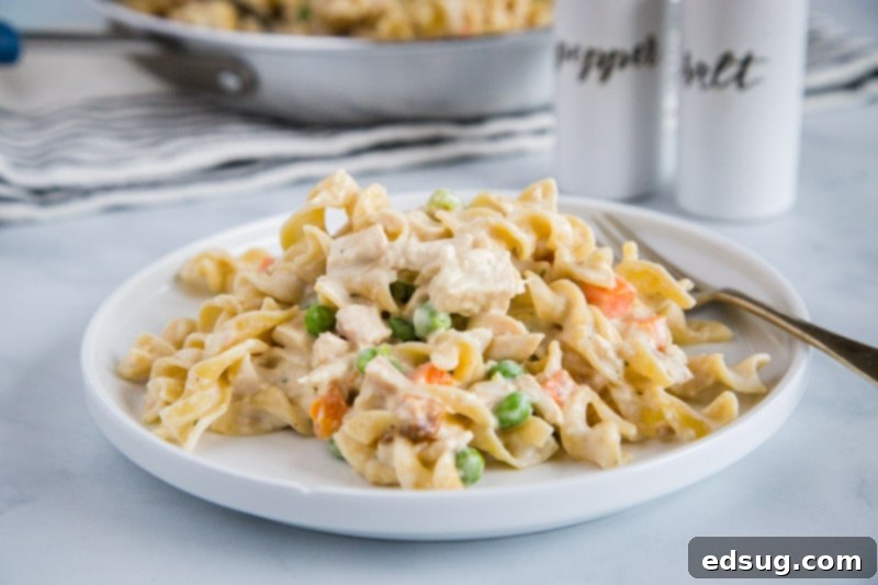 Creamy Chicken Noodle Pot Pie 5 Chicken Pot Pie Noodles - a fun twist on classic chicken pot pie using noodles!  Comes together in minutes so it is perfect for quick weeknight meals.