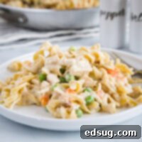 Chicken Pot Pie Noodles - a fun twist on classic chicken pot pie using noodles!  Comes together in minutes so it is perfect for quick weeknight meals. 