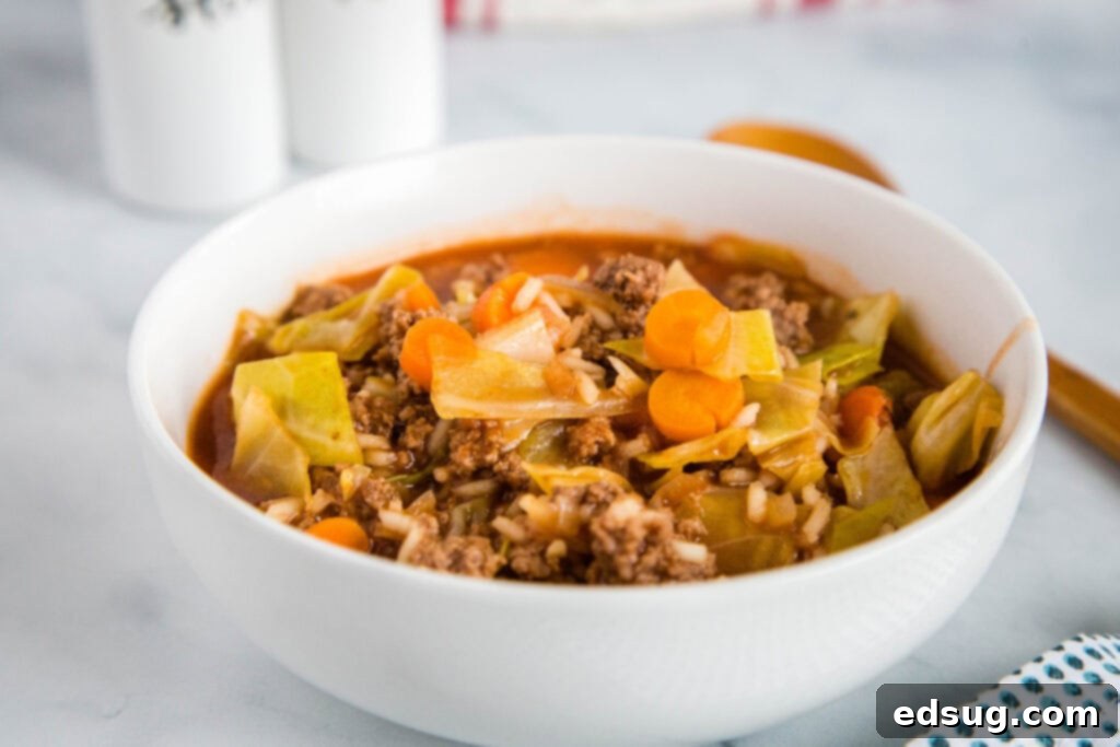 Deconstructed Cabbage Roll Soup 5 A generous serving of cabbage roll soup garnished with fresh parsley in a rustic bowl.
