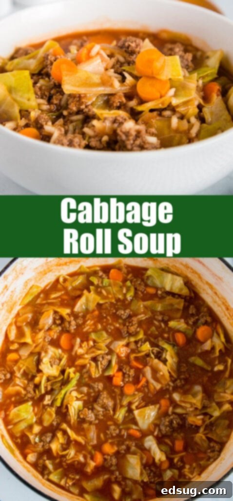 Deconstructed Cabbage Roll Soup 6 Close-up of a rustic bowl of unstuffed cabbage roll soup, perfect for sharing on Pinterest.