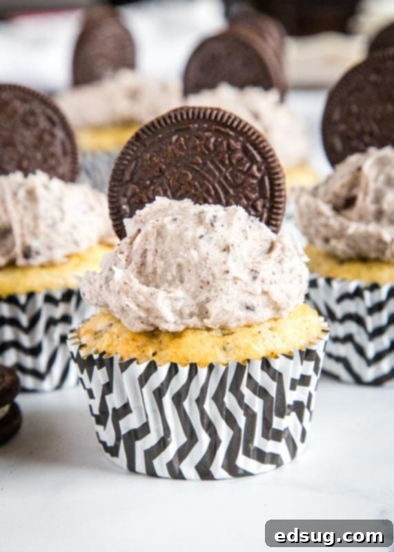 Oreo Delight Cupcakes 2 Fluffy vanilla cupcakes with crushed Oreo cookies baked inside, topped with a creamy Oreo buttercream frosting and a whole Oreo for garnish.