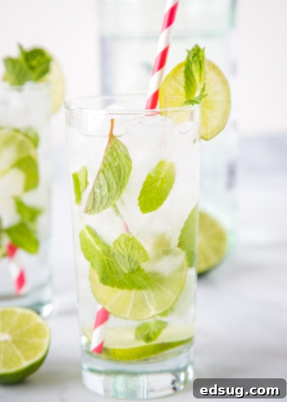 The perfect rum cocktail! A classic mint mojito is great to enjoy all year round.