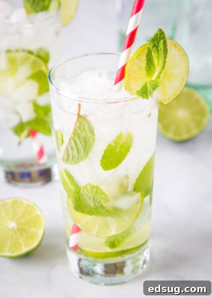 Fresh mint makes this classic mojito drink recipe extra tasty!