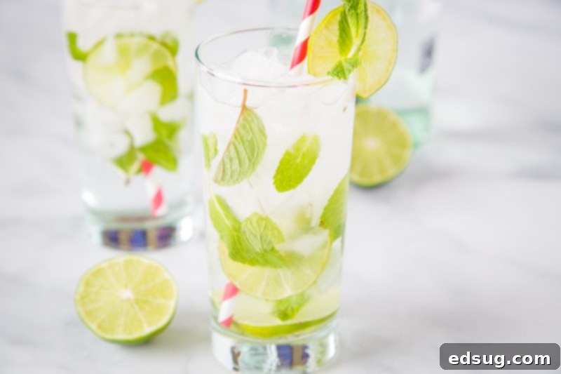 The Best Mojito Drink Recipe- A simple and refreshing drink with just 5 simple ingredients; lime juice, white rum, sugar, club soda and mint. It just might be the perfect rum cocktail!