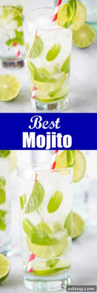 The Best Mojito Drink Recipe- A simple and refreshing drink with just 5 simple ingredients; lime juice, white rum, sugar, club soda and mint. It just might be the perfect rum cocktail!