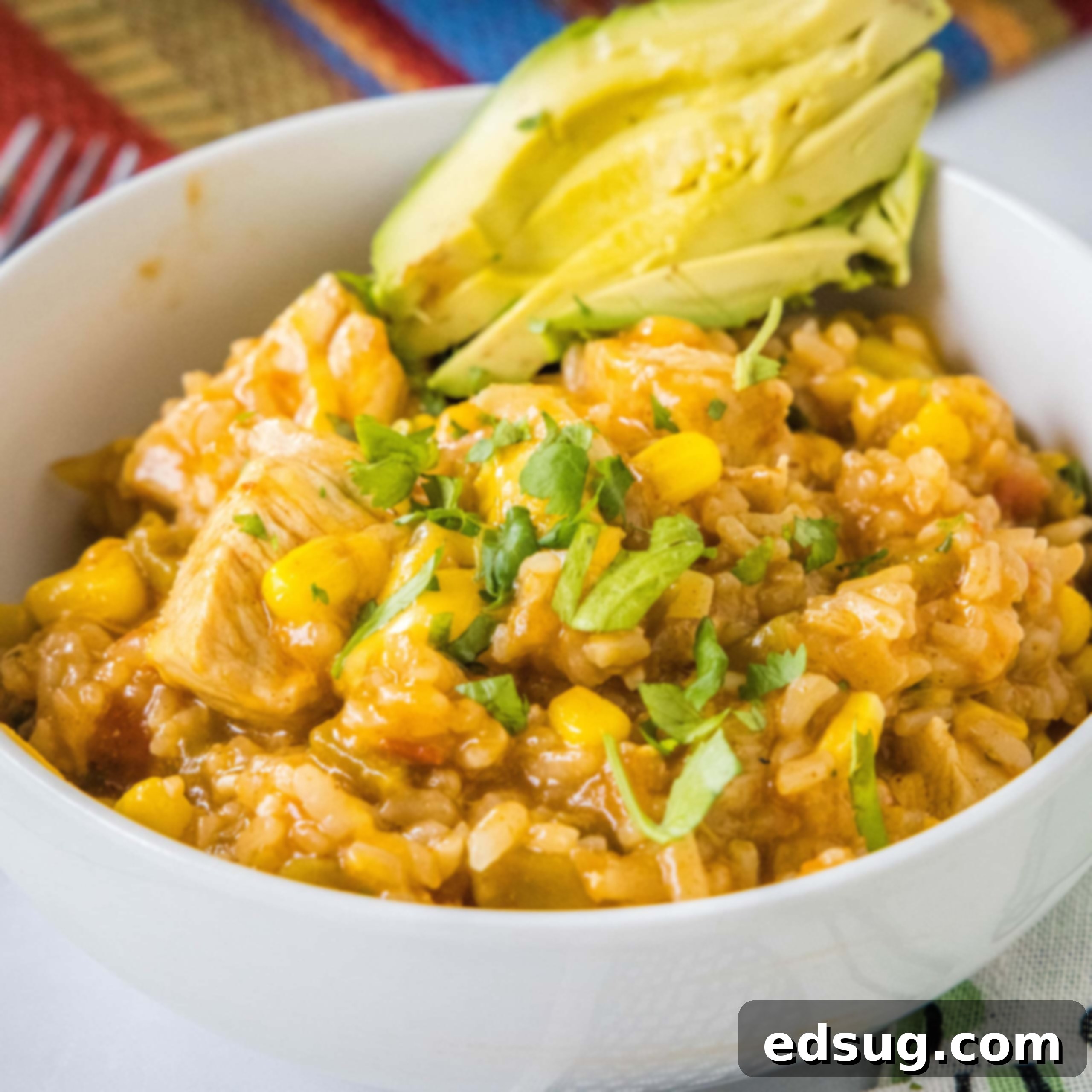 close up mexican chicken rice skillet in a bowl