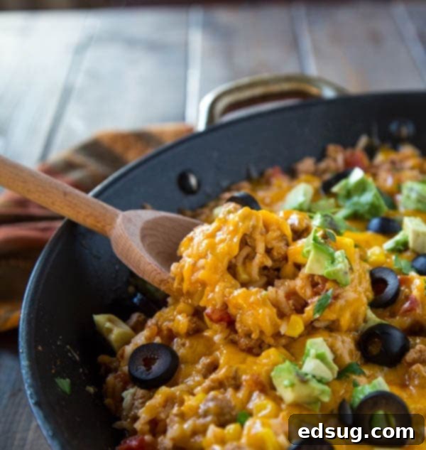 Mexican Rice Skillet