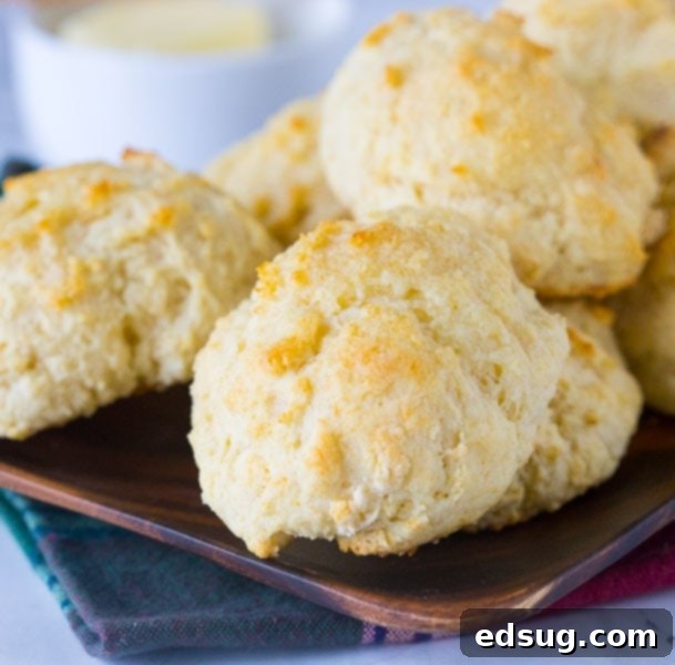 Easy Biscuit Recipe - these are the perfect homemade biscuits. Light, fluffy, tender, buttery, and delicious. Make in minutes any night of the week. 