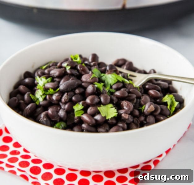 A bowl of black beans on a plate