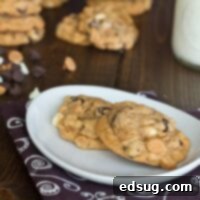Chewy Butterscotch Triple Chip Pudding Cookies 2 butterscotch pudding triple chocolate cookies on a table