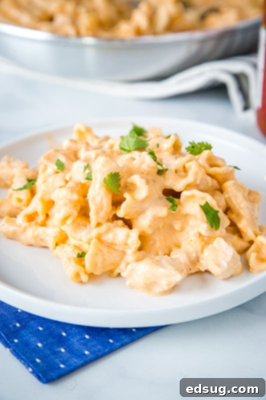 Creamy Buffalo Chicken Pasta 2 Buffalo Chicken in the form of a quick and easy creamy pasta